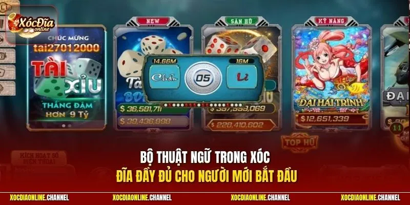 Bộ thuật ngữ trong xóc đĩa đầy đủ cho người mới bắt đầu