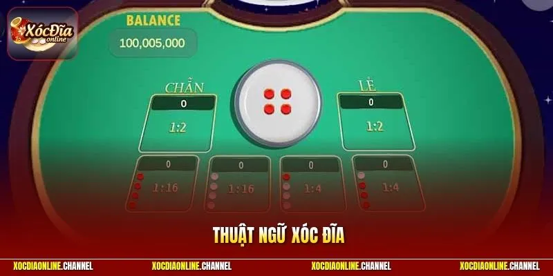 Tổng Hợp Thuật Ngữ Xóc Đĩa - Bí Kíp Đọc Vị Chuyên Nghiệp